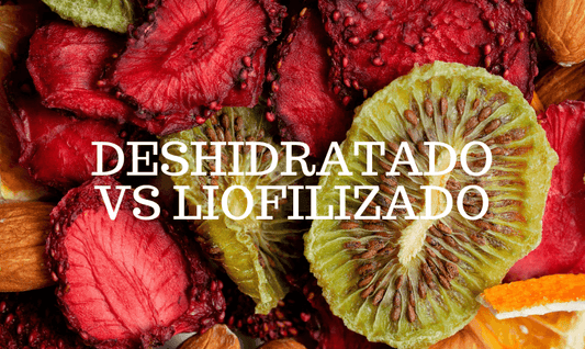 ¿Qué es la liofilización o ‘freeze-drying’? La técnica de la conservación