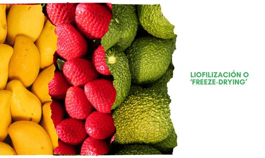 ¿Qué es la liofilización o ‘freeze-drying’? La técnica de la conservación
