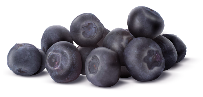 Fruta Liofilizada (Prueba Maquina Pequeña)